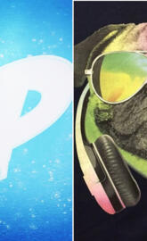 PUGgamer 101 origins