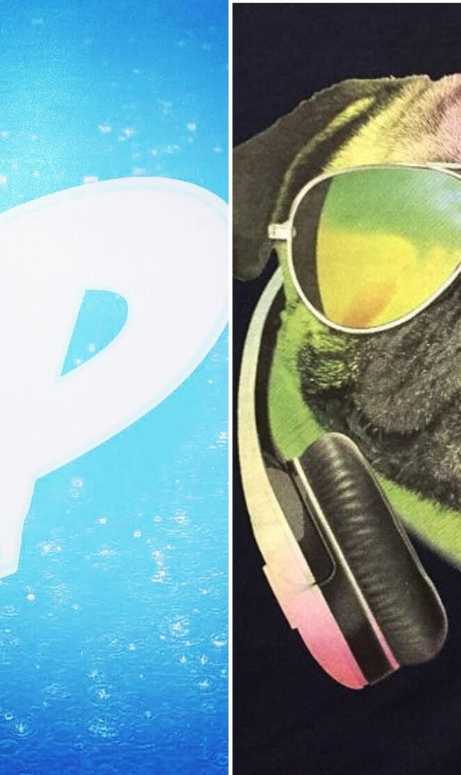 PUGgamer 101 origins