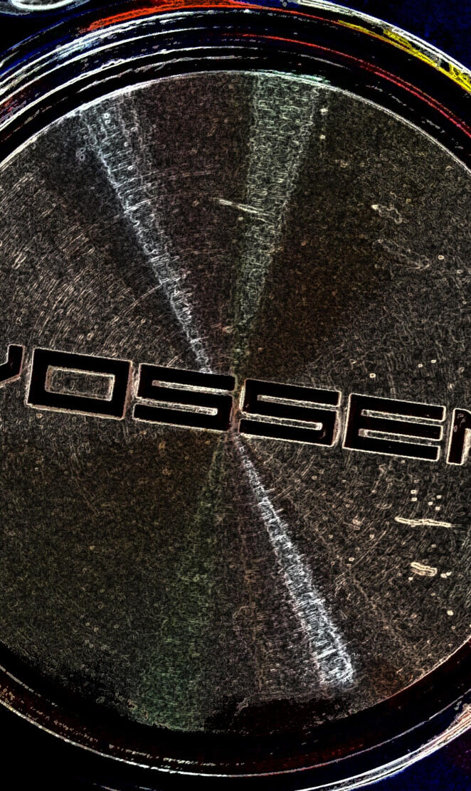 Vossen