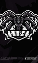 Team Damascus