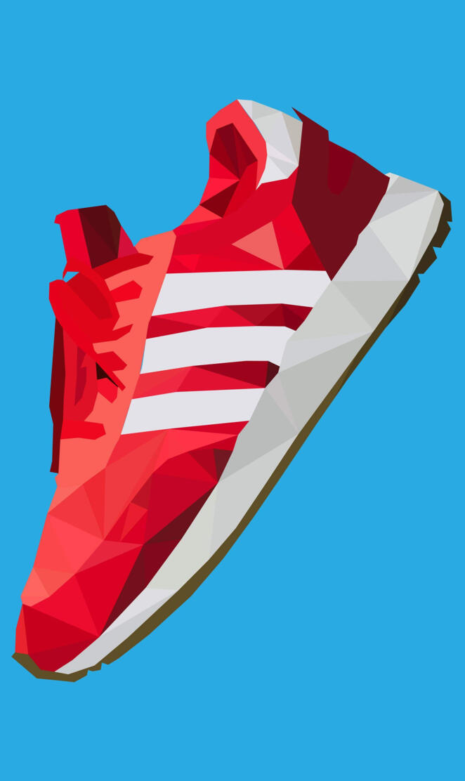 Adidas Shoe