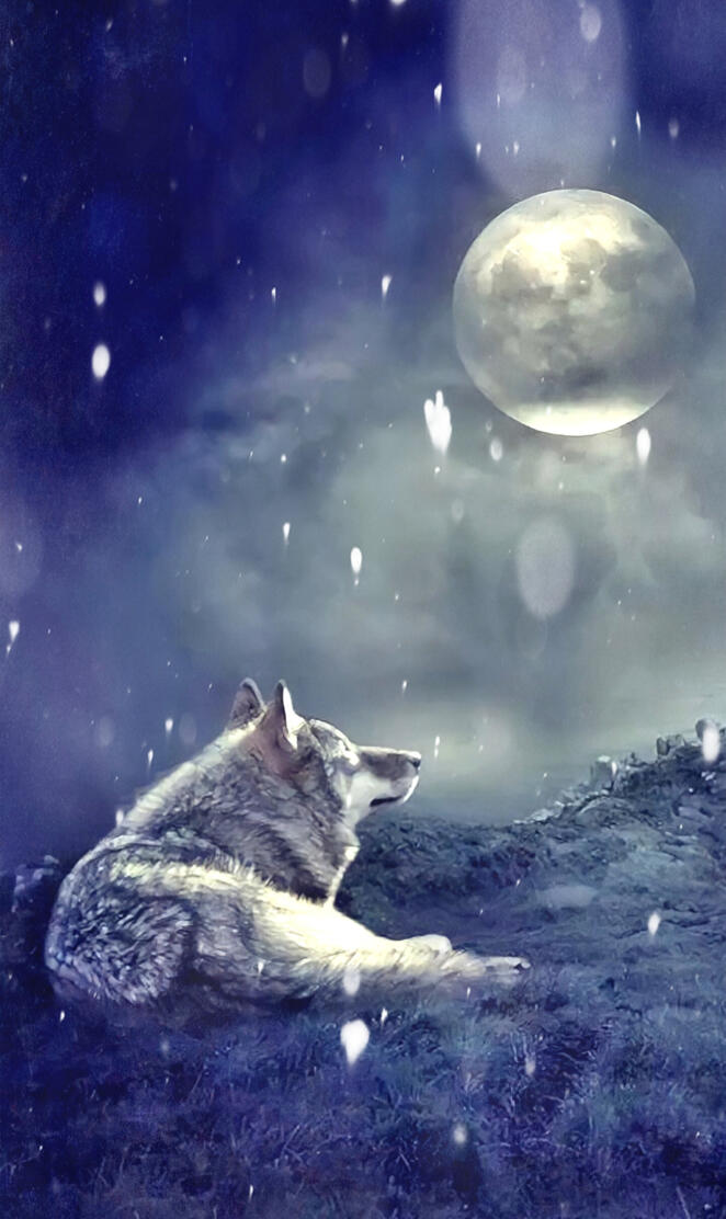 Wolf in the moonlight