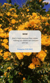 Proverbs 3:15