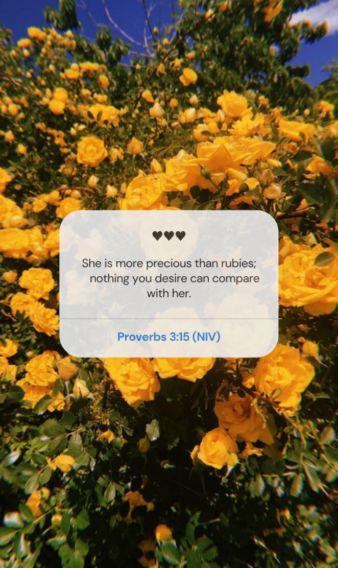 Proverbs 3:15