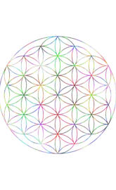 Flower of Life TS