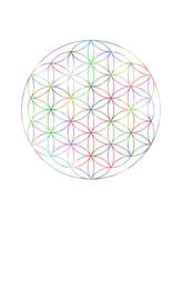 Flower of Life N4