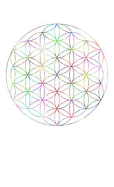 Flower of Life S5m