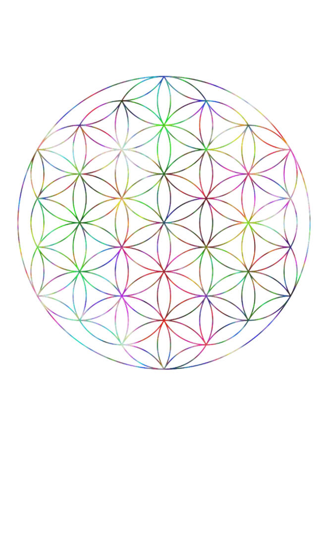 Flower of Life S5m