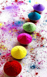 Holi Colours