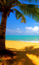 Letnji dan sunny day