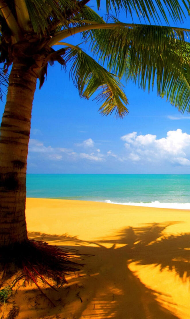 Letnji dan sunny day