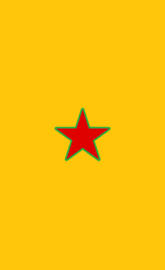 YPG STAR