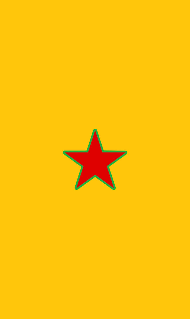 YPG STAR