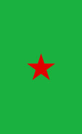 YPJ STAR