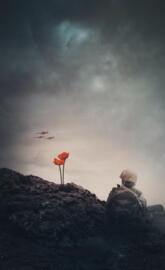 Remembrance Day