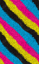 Fuzzy Wuzzy