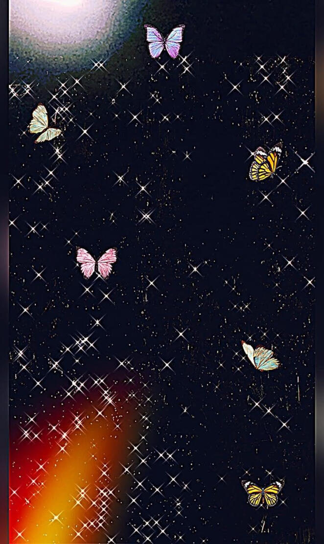 Butterfly night