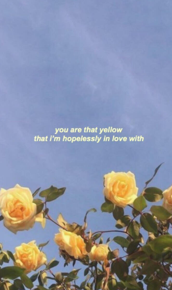 Aesthetic Yellow