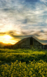 Sunrise Barn