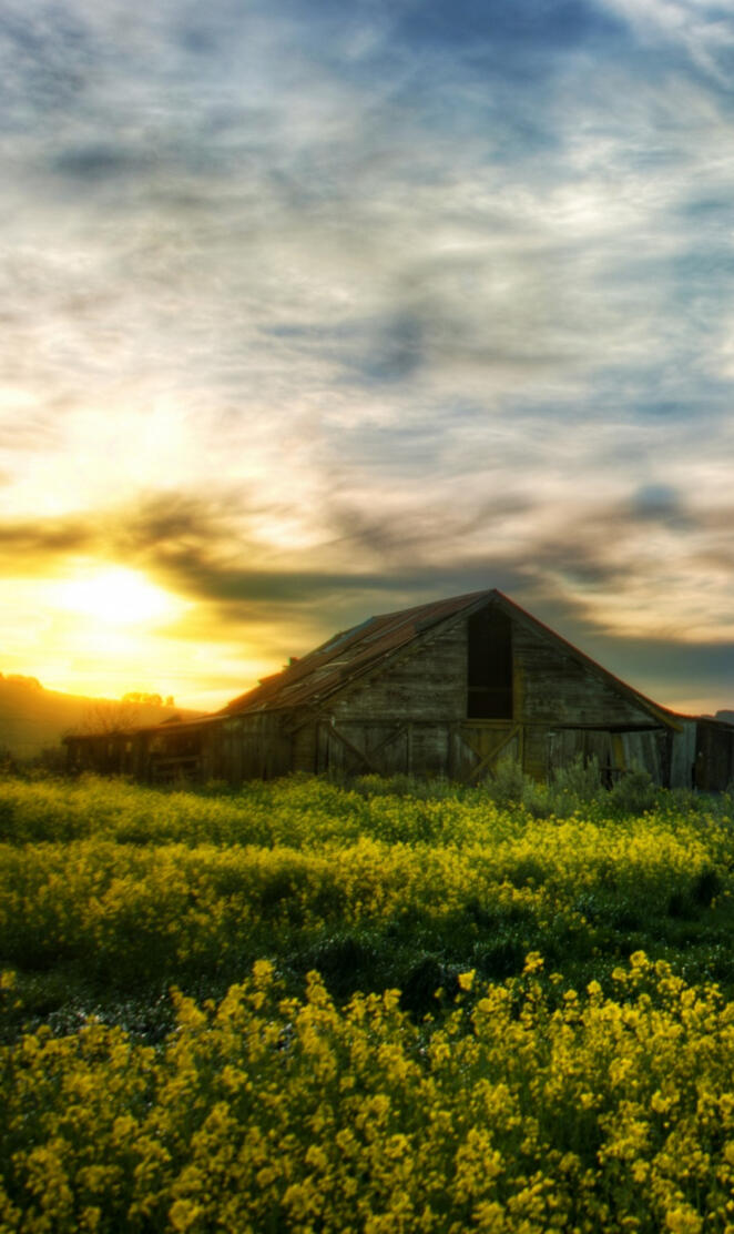 Sunrise Barn