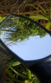 Reflection_alok