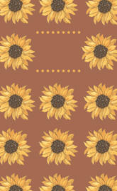 S22 Ultra Lock Screen