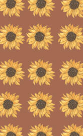 S22 Ultra Background