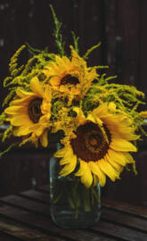Sunflowers in a jar