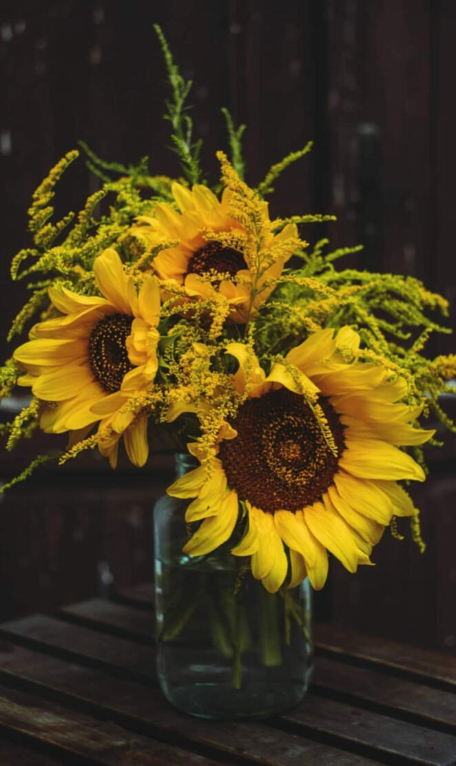 Sunflowers in a jar