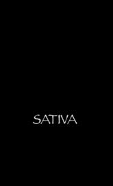 Sativa