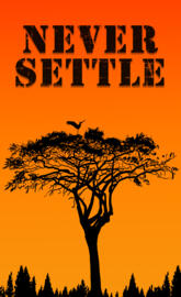 nature never settle