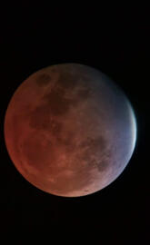Lunar Eclipse