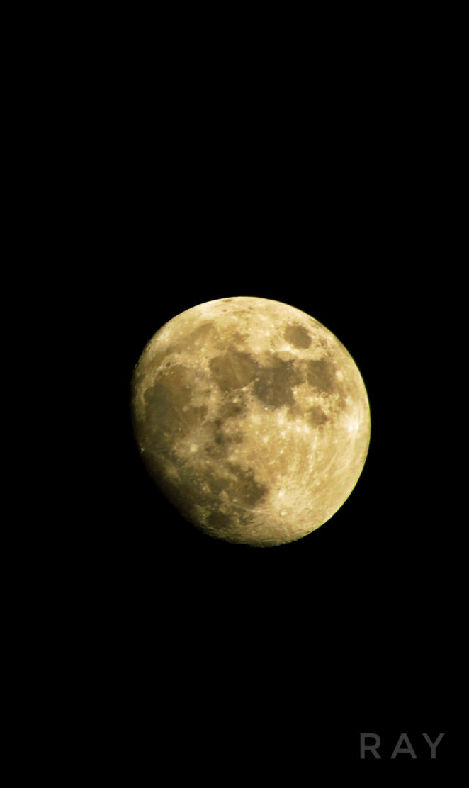 The Moon in Sukla Paks