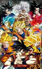 Phases of Goku