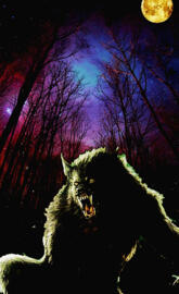 Werewolf Night