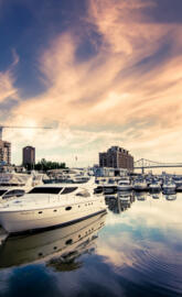 Harbor full of boats