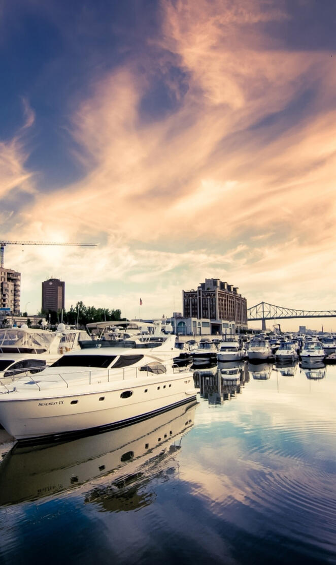 Harbor full of boats