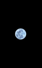 Blue Moon