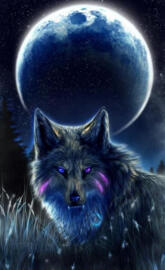 Full moon wolfe