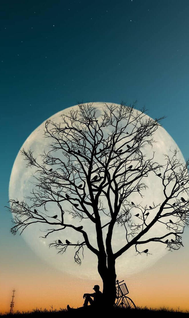 Hombre bajo el arbol