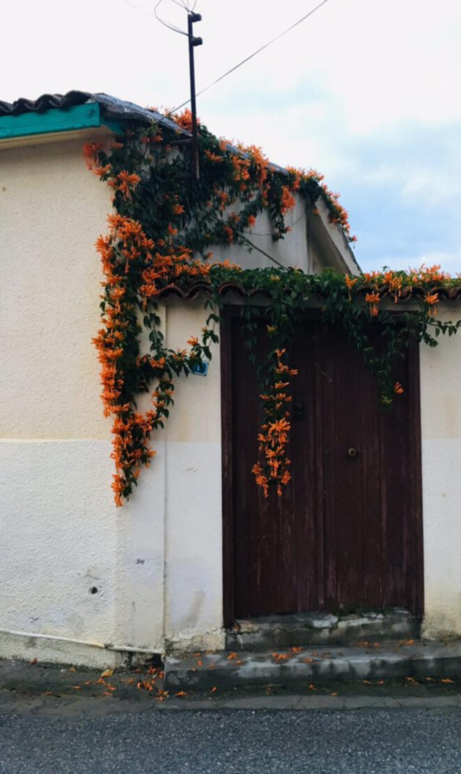 Flowers and door