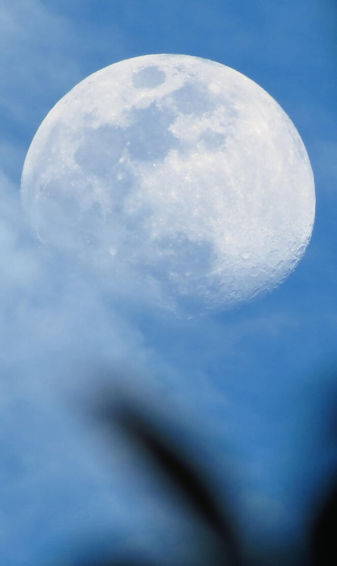 The moon