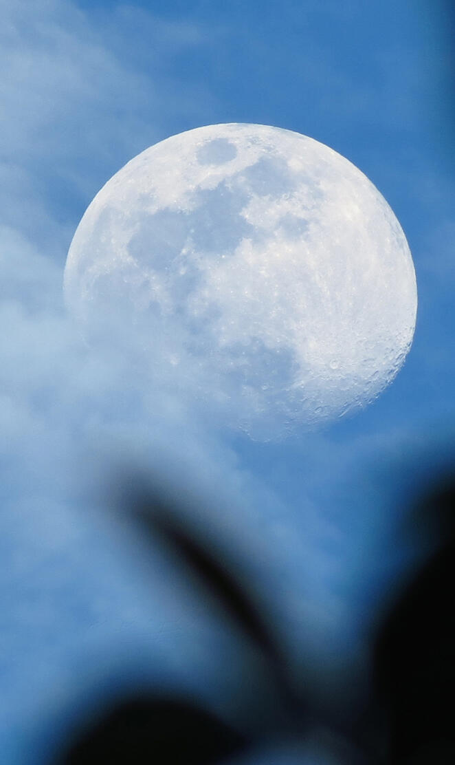 The moon
