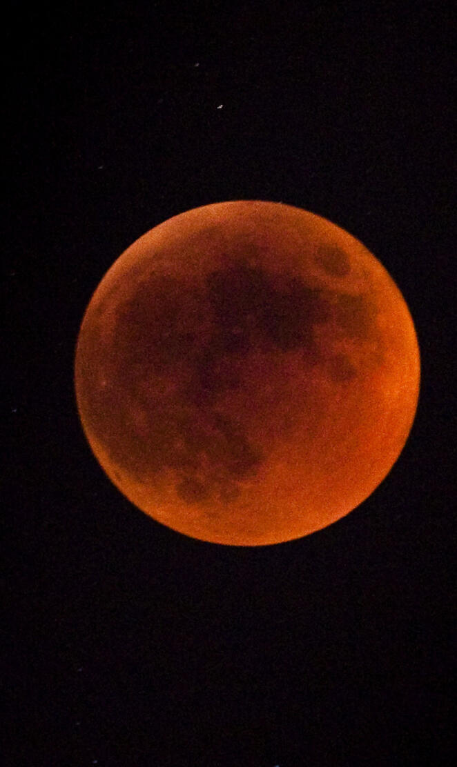 Luna Eclipse