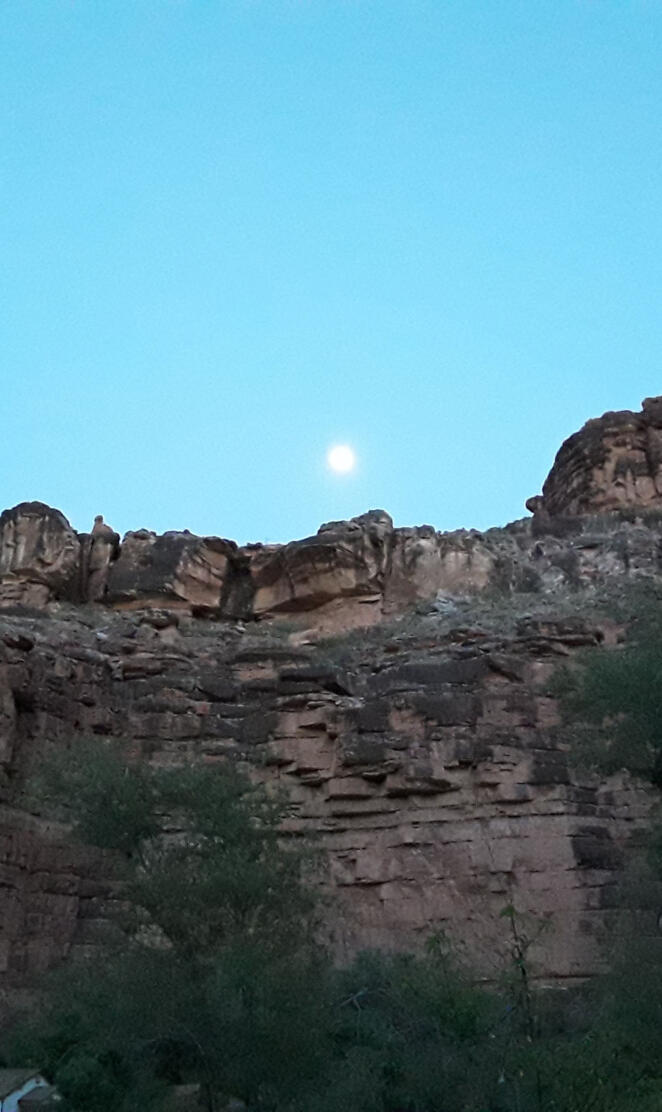Canyon moonlight