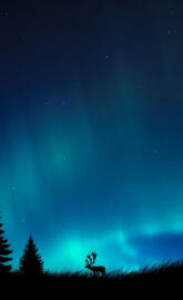 Northern Lights