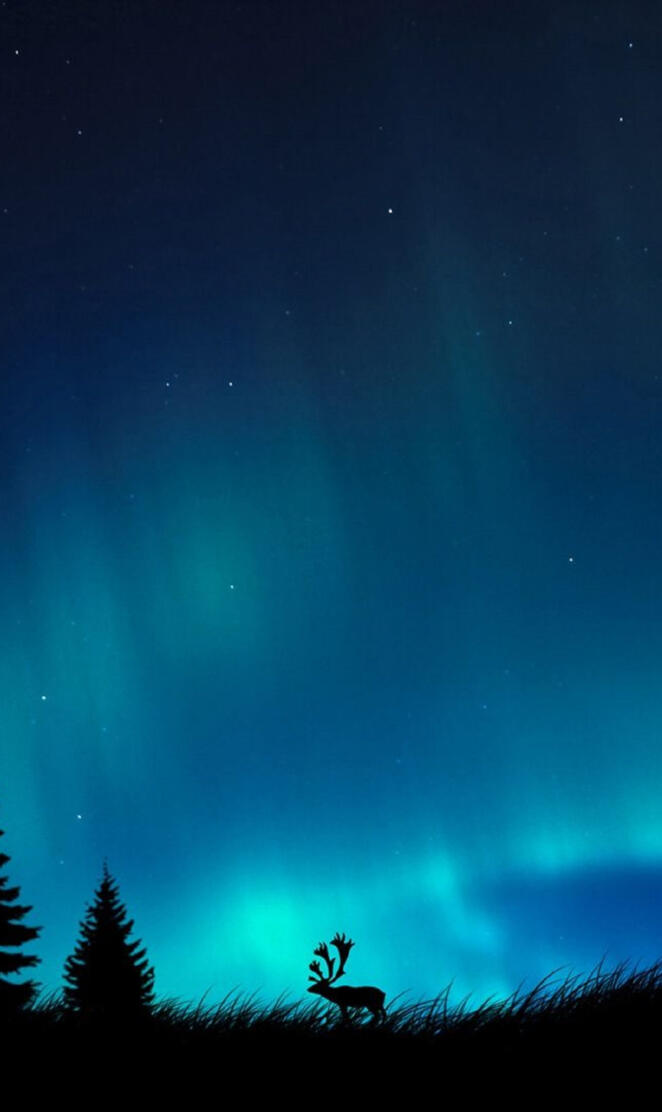 Northern Lights