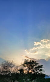 Evening   jitsa007