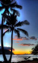 Evening on the Beach