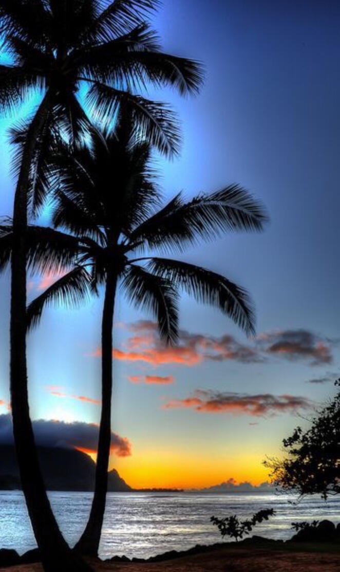 Evening on the Beach